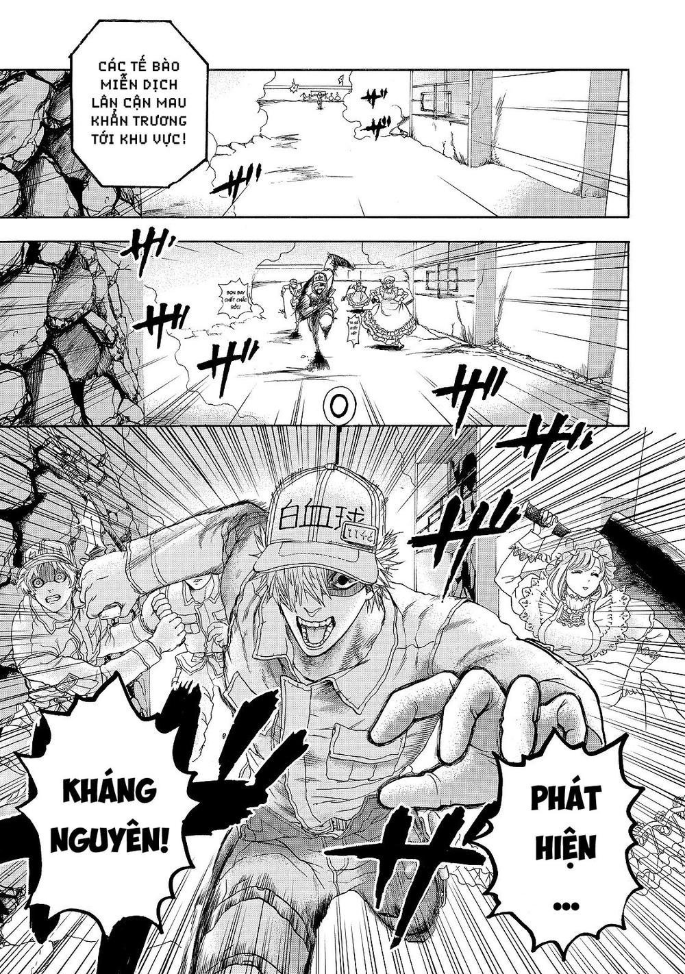 hataraku saibou! chapter 16 25
