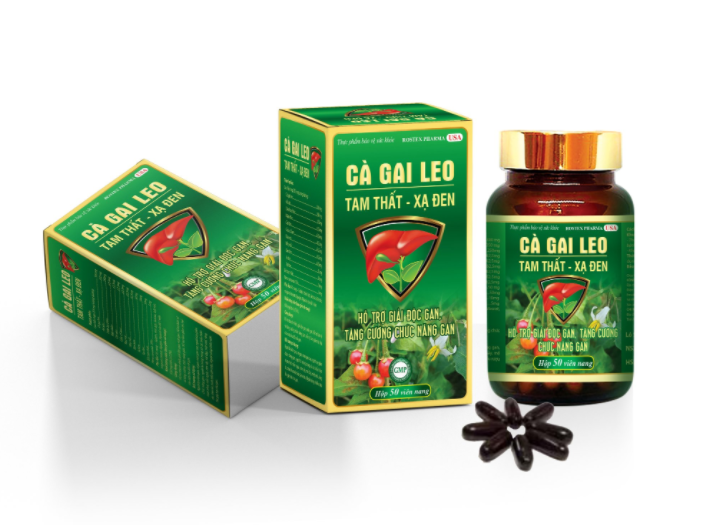 Cà Gai Leo Chai Tam Thất Xạ Đen - Chai 50 viên - Hỗ trợ mát gan - giải độc gan - tăng cường chức năng gan