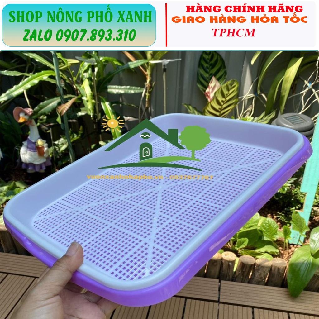 Bộ khay nhựa PP nguyên sinh trồng rau mầm, cỏ lúa mì có 4 màu lựa chọn