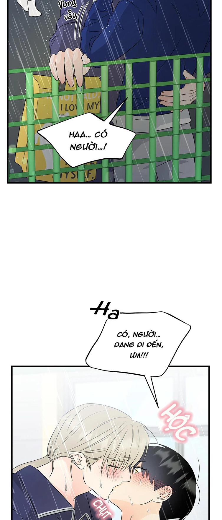 tình yêu cổ tích chapter 22 15