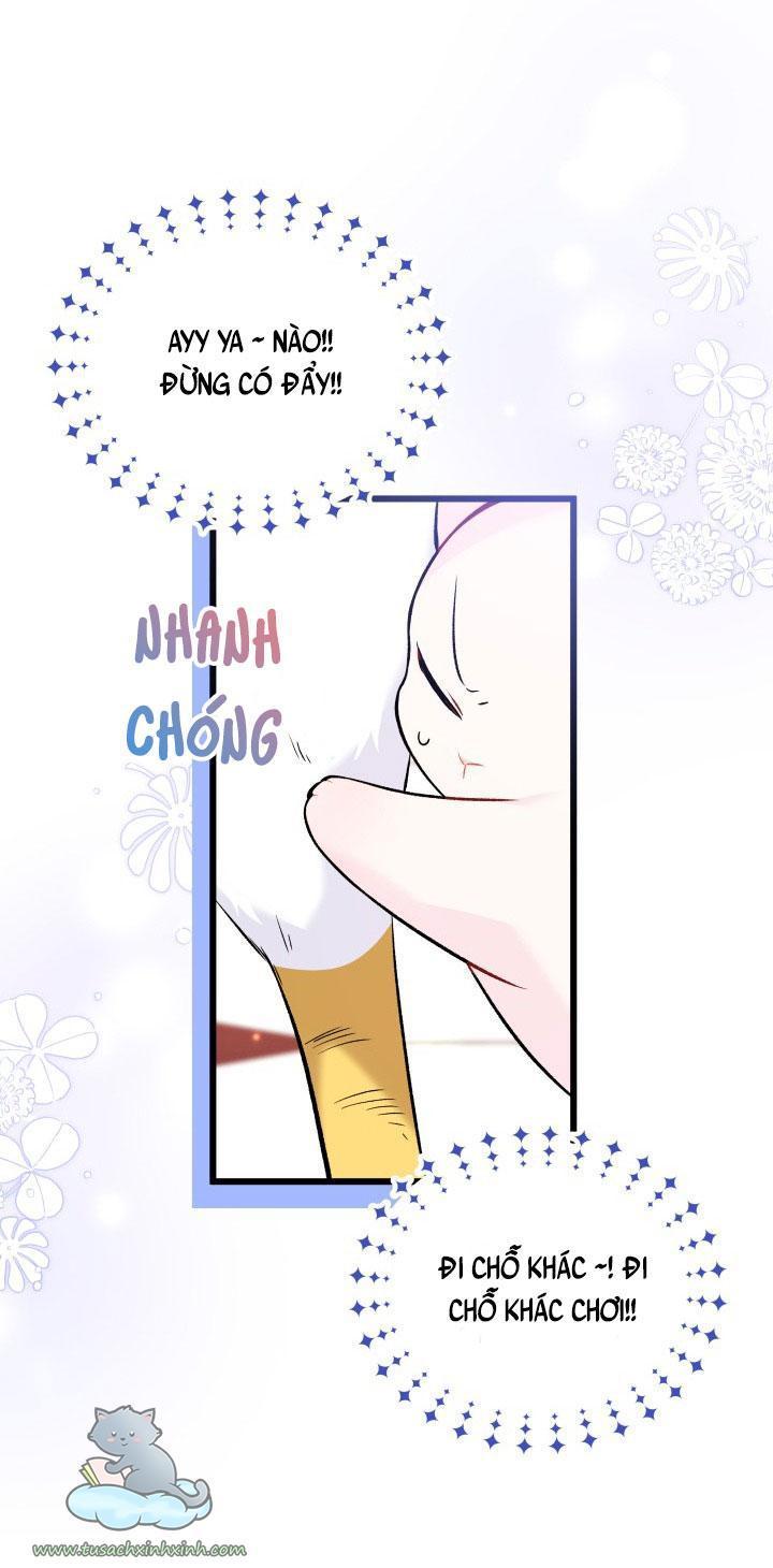 quan hệ cộng sinh giữa báo đen và thỏ trắng chapter 57 18