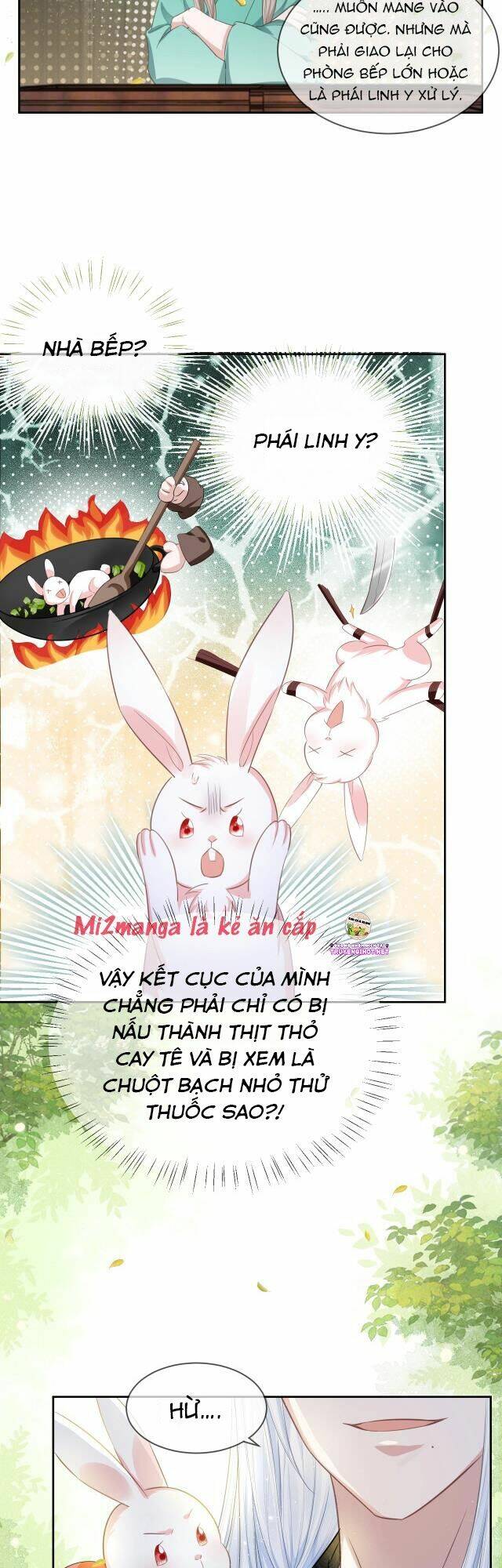 hắc hóa nam chính trực tuyến nuôi thỏ chapter 9 18