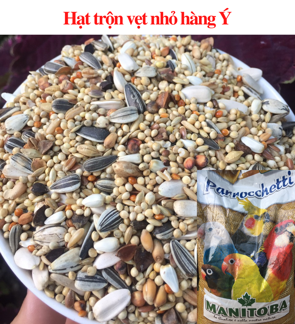 Hạt trộn cho vẹt nhỏ hàng ý Manitoba bị 1kg