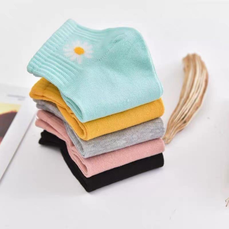 Tất hoa cúc cổ ngắn nữ cotton basic nhiều màu T03