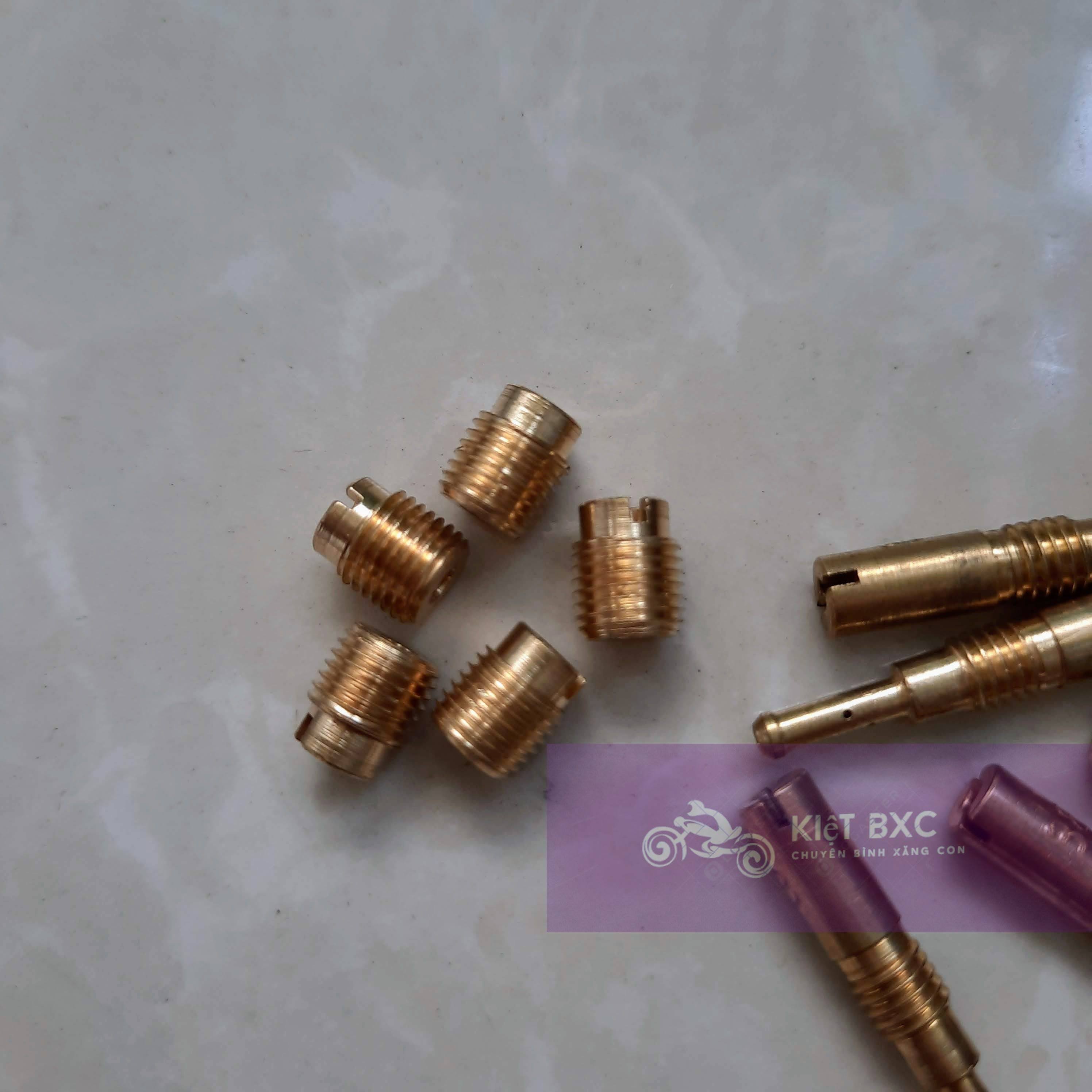 10 GICLO CHÍNH PHỤ