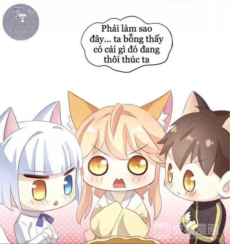 dưới móng vuốt mèo chapter 18 30