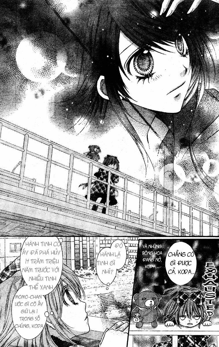 momo lover chapter 10 21