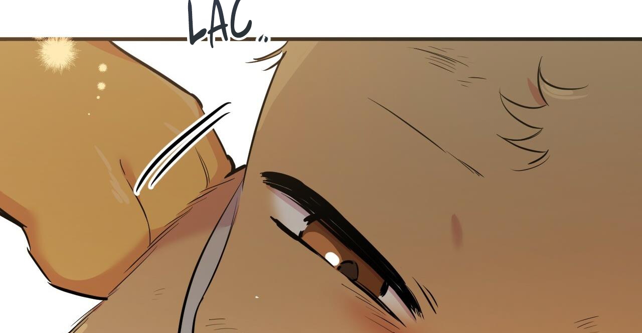 đàn thỏ của habibi chapter 49 284