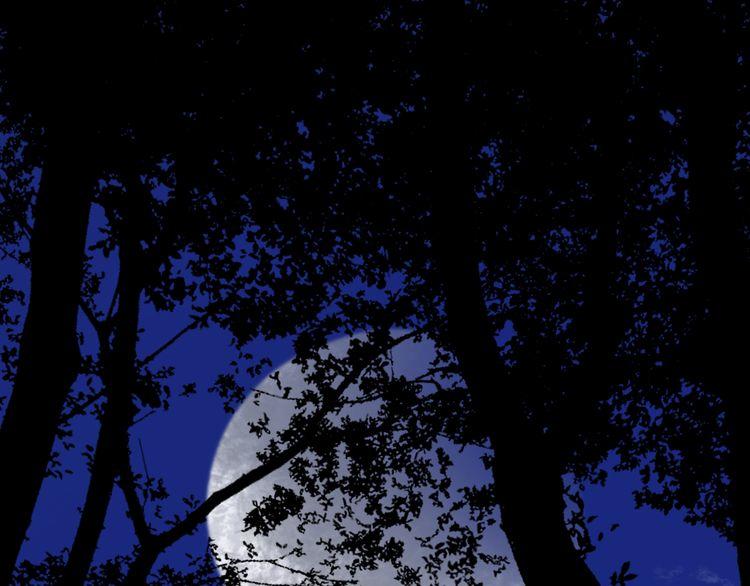 lượm được một tiểu hồ ly 2 chapter 47.5 31