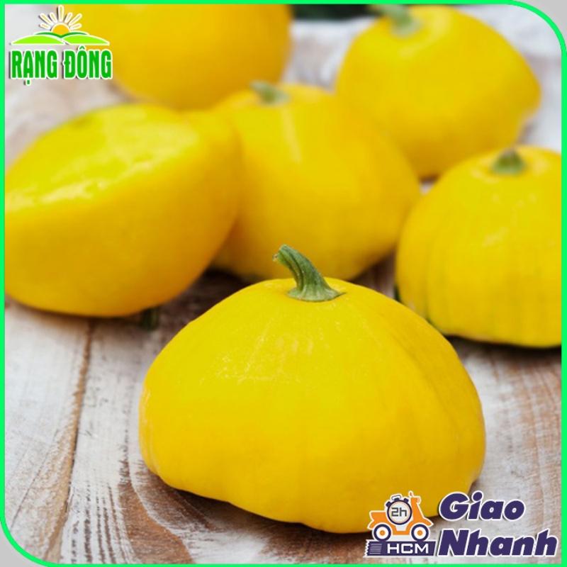 Hạt giống Bí Đĩa Bay Vàng - Hạt giống Rạng Đông