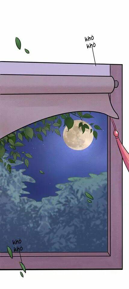 hoàng tử phu quân, ta nuôi ngươi a! chapter 5 43