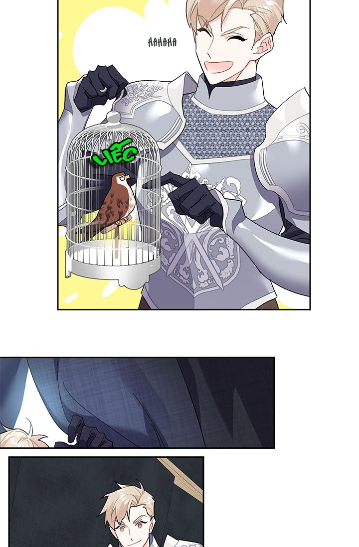 công chúa của loài chim chapter 8 45