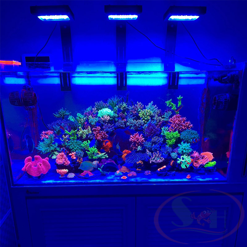 Đèn led Chihiros NOVA 1 Marine Coral Light quang phổ bể cá biển san hô hồ nước mặn