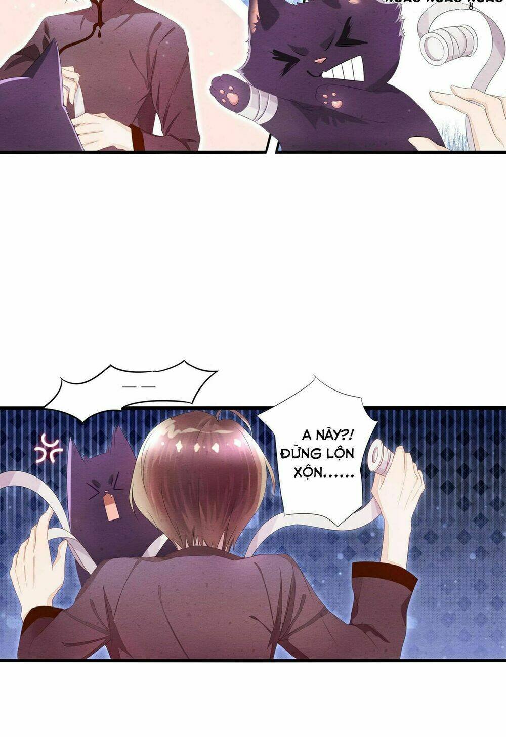 làm mèo của ta chapter 1 22