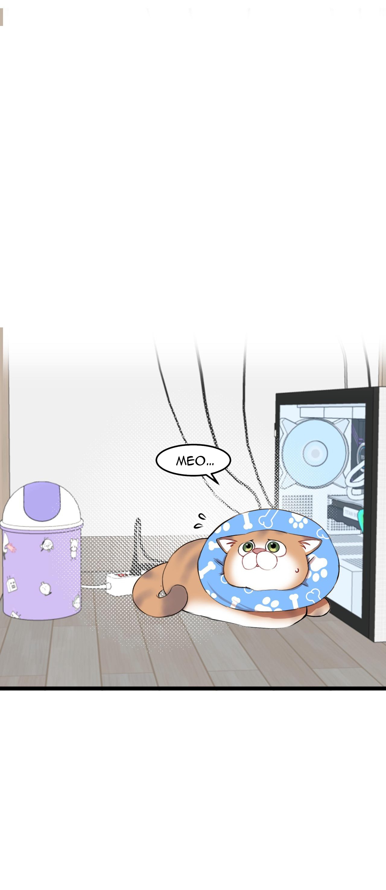 rốt cuộc bé mèo đang nghĩ gì ? chapter 15 13