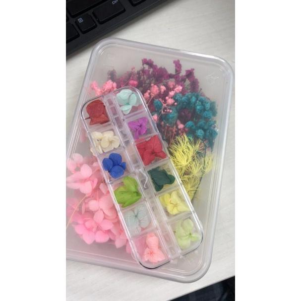 Hộp 12 Màu Hoa Cẩm Tú Cầu Khô Màu Sắc Rực Rỡ - Trường Thịnh Sài Gòn