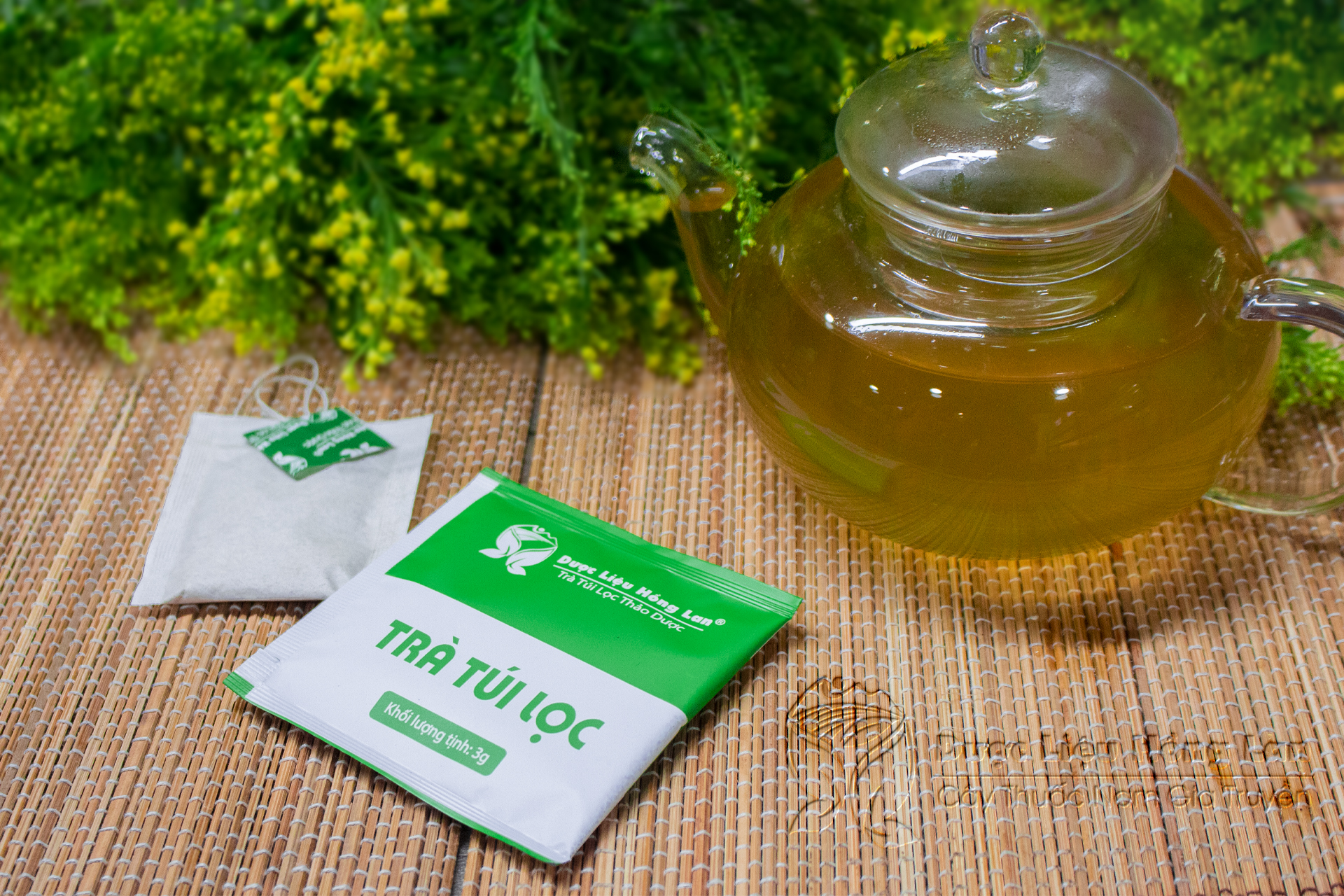 Trà Túi Lọc Cà Gai Leo 60g Dược Liệu Hồng Lan