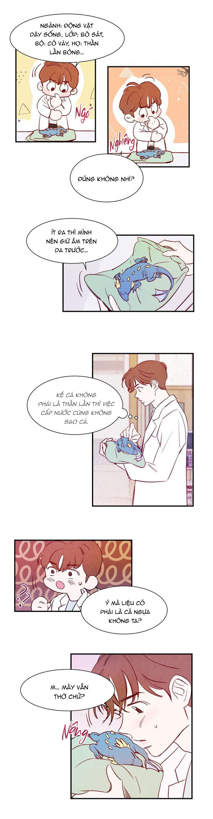 chuyện tình của woonwoo chapter 0 6