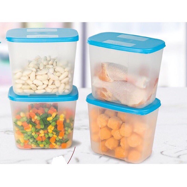 Hộp Trữ Đông Freezermate 820ml Tupperware, Hộp Bảo Quản Thực Phẩm, Nhựa Nguyên Sinh An Toàn