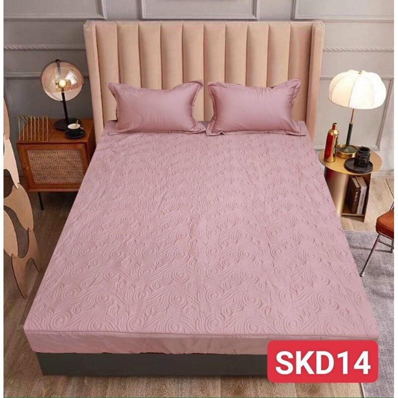 BST Drap Ga gối - Bộ 3 món ga giường và 2 chiếc vỏ gối chun trần silk