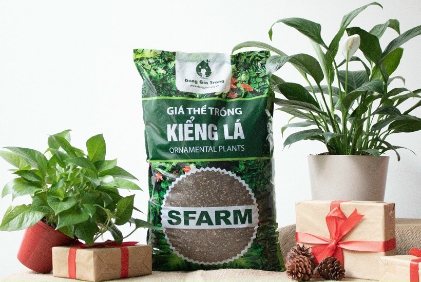 1Kg Giá Thể Trồng Cây Kiểng Lá Sfarm - Đất Hỗn Hợp Trồng Cây Cảnh