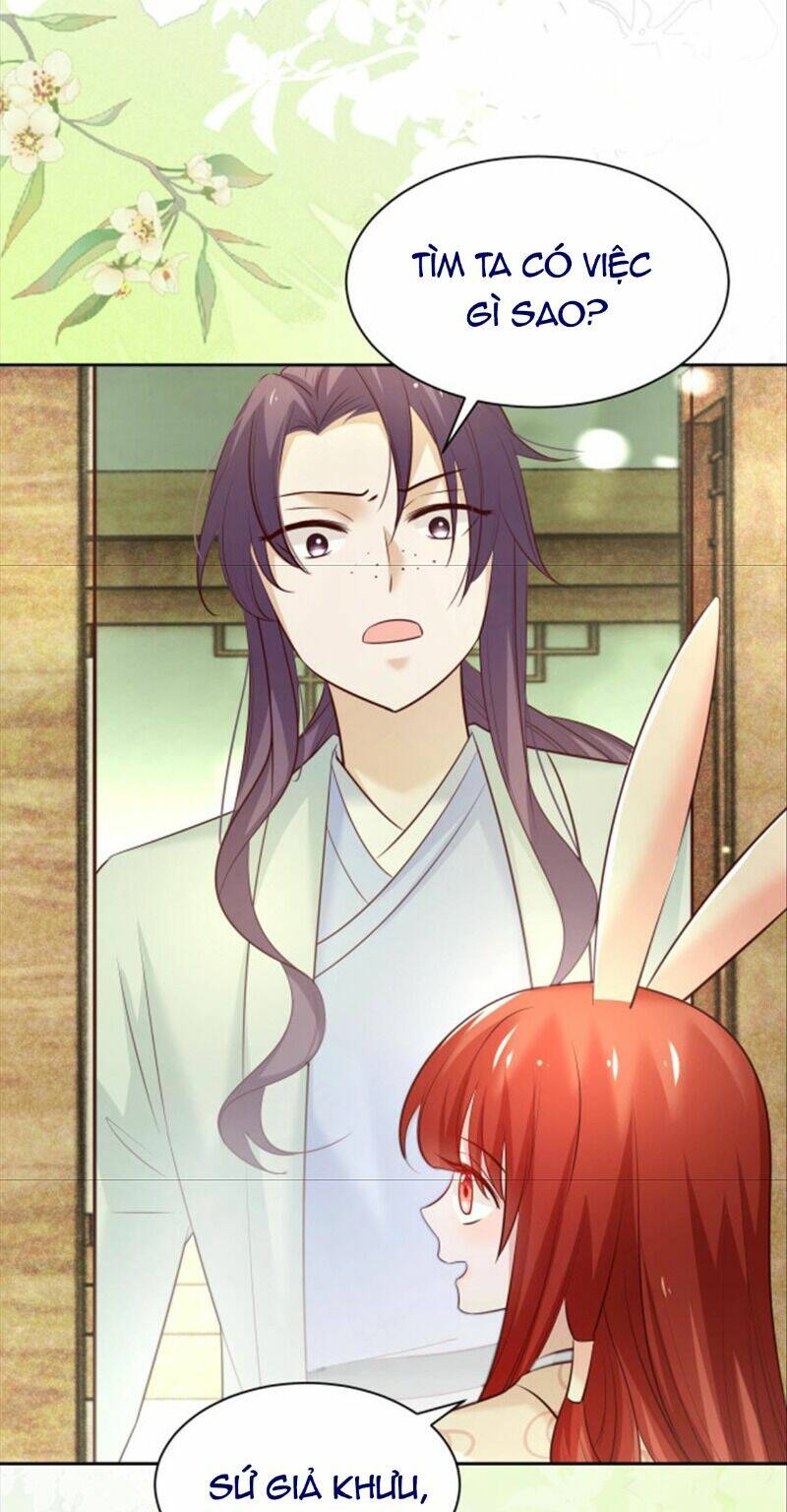 hắc hóa nam chính trực tuyến nuôi thỏ chapter 47 7