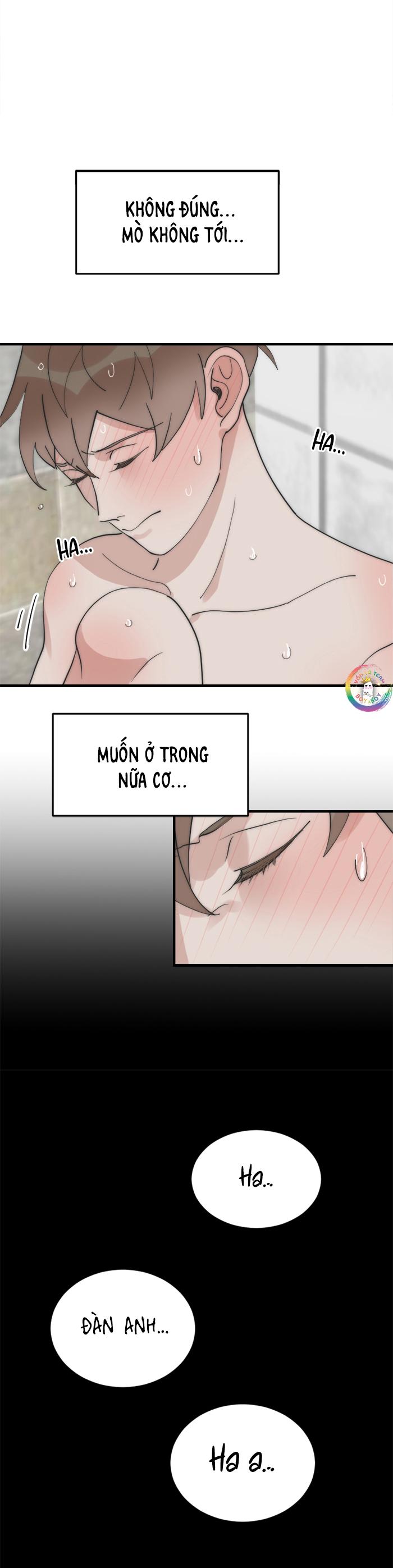 Đàn Anh Sói Ca Cùng Phòng Của Tôi chapter 17