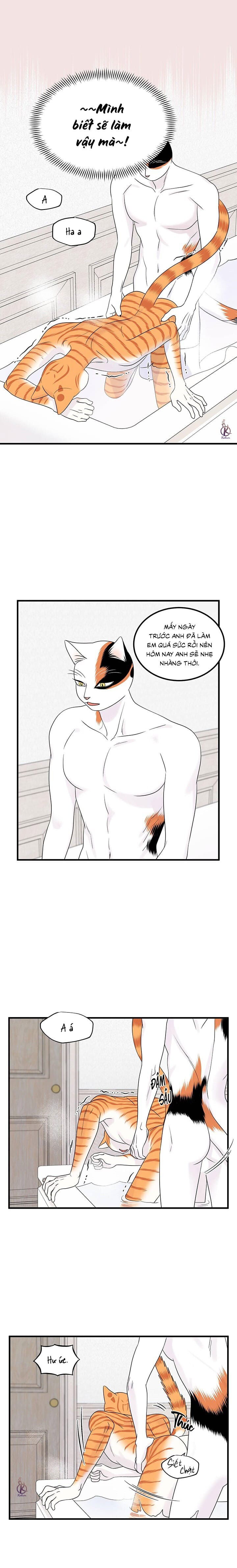 dự án xanh chapter 38 11