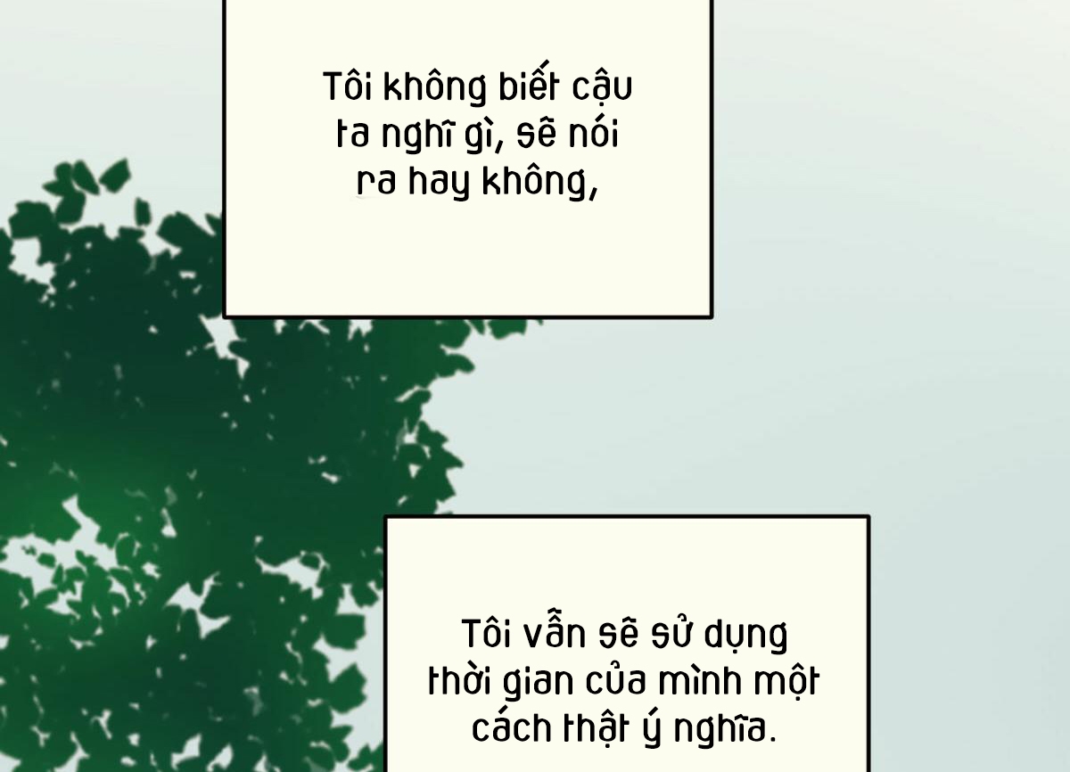 tương phùng chapter 4 143