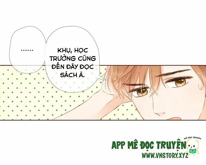 Tình yêu là màu hoa anh thảo chapter 32.2 44