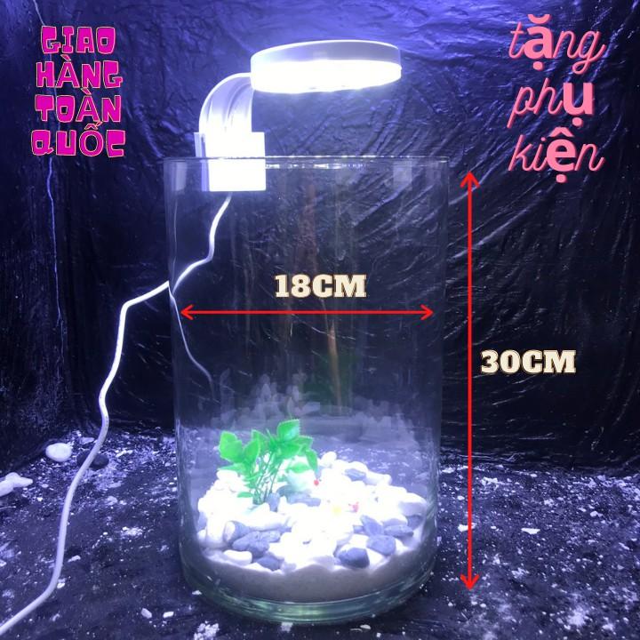 Bể cá mini để bàn kèm phụ kiện tiểu cảnh có hồ lọc đèn