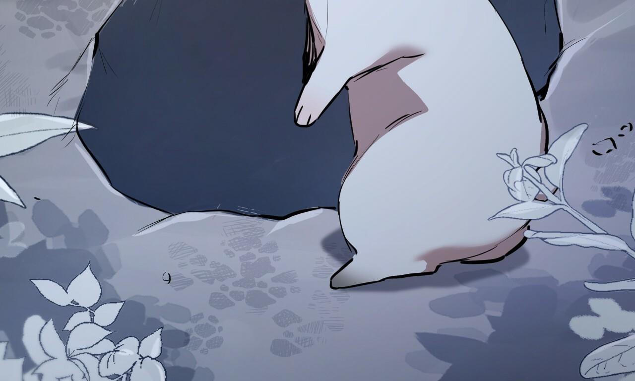 đàn thỏ của habibi chapter 37 81