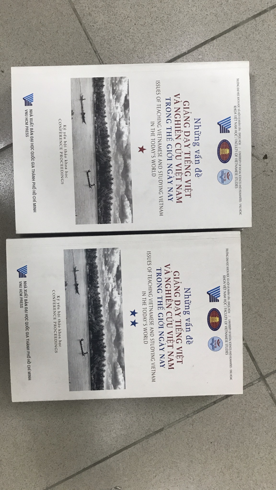 NHỮNG VẤN ĐỀ GIẢNG DẠY TIẾNG VIỆT VÀ NGHIÊN CỨU VIỆT NAM TRONG THẾ GIỚI NGÀY NAY - Kỷ yếu hội thảo khoa học – Nxb Đại học quốc gia HCM