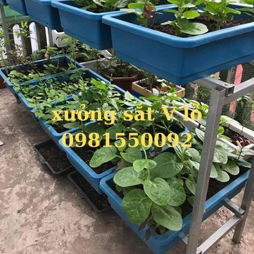 kệ v lỗ trồng rau ( sắt V4x4cm),'rộng 67cm x dài 1.3m&quot; x ( chiều cao 1m,1.2m,1.5m ) nhiều tầng