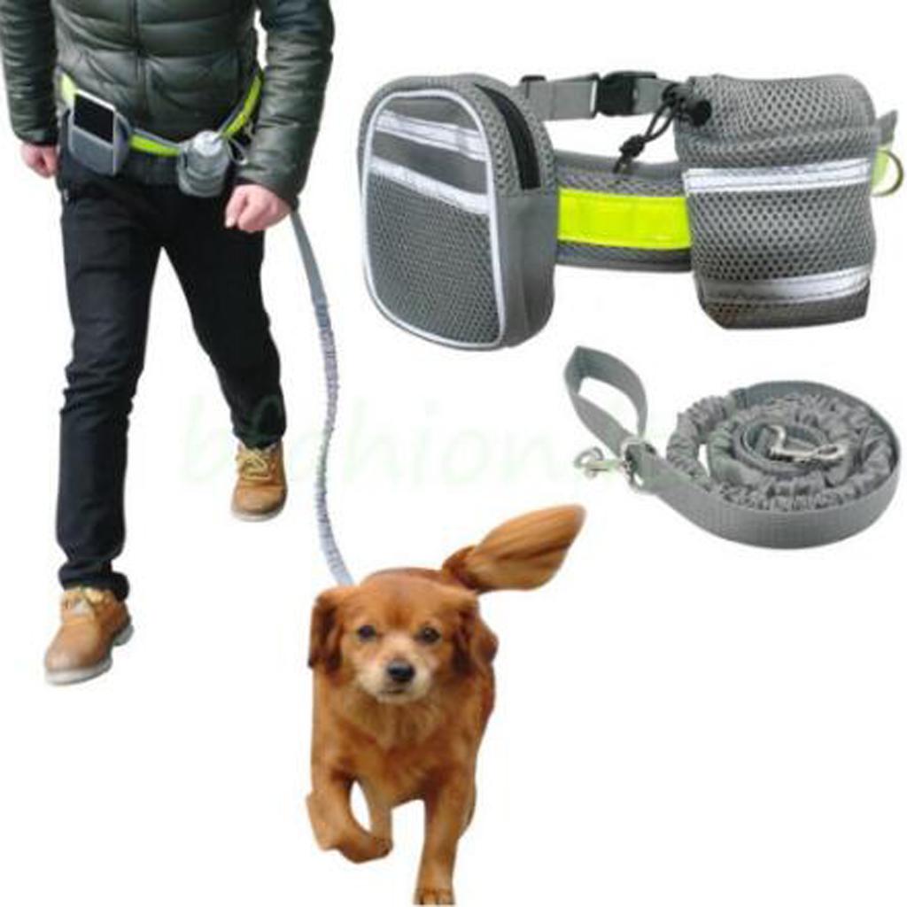Dog Leash Lead w/ Waist Pouch Handsfree Reflective Buckle Belt Harness