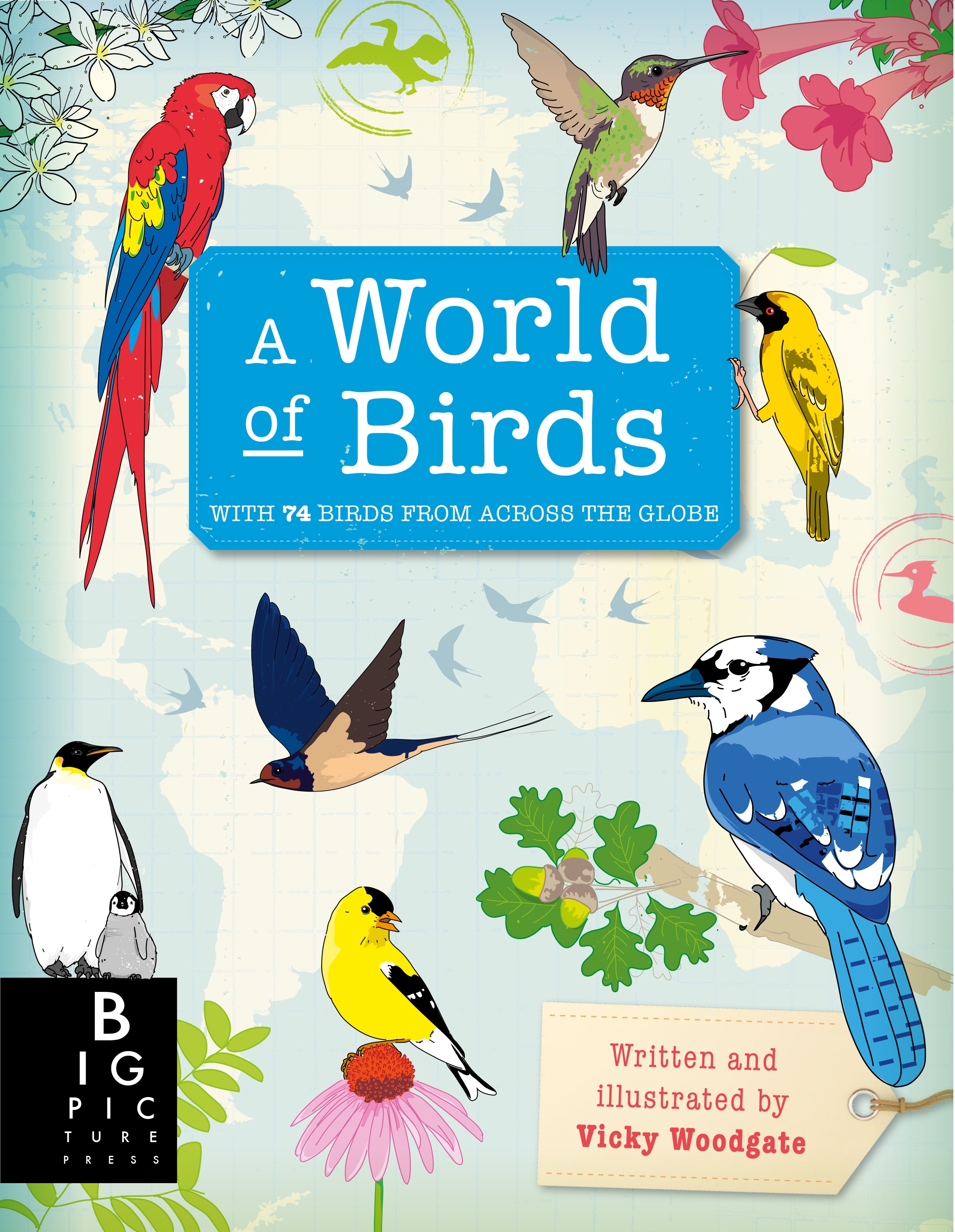 Sách: Thế giới các loài Chim - A World of Birds