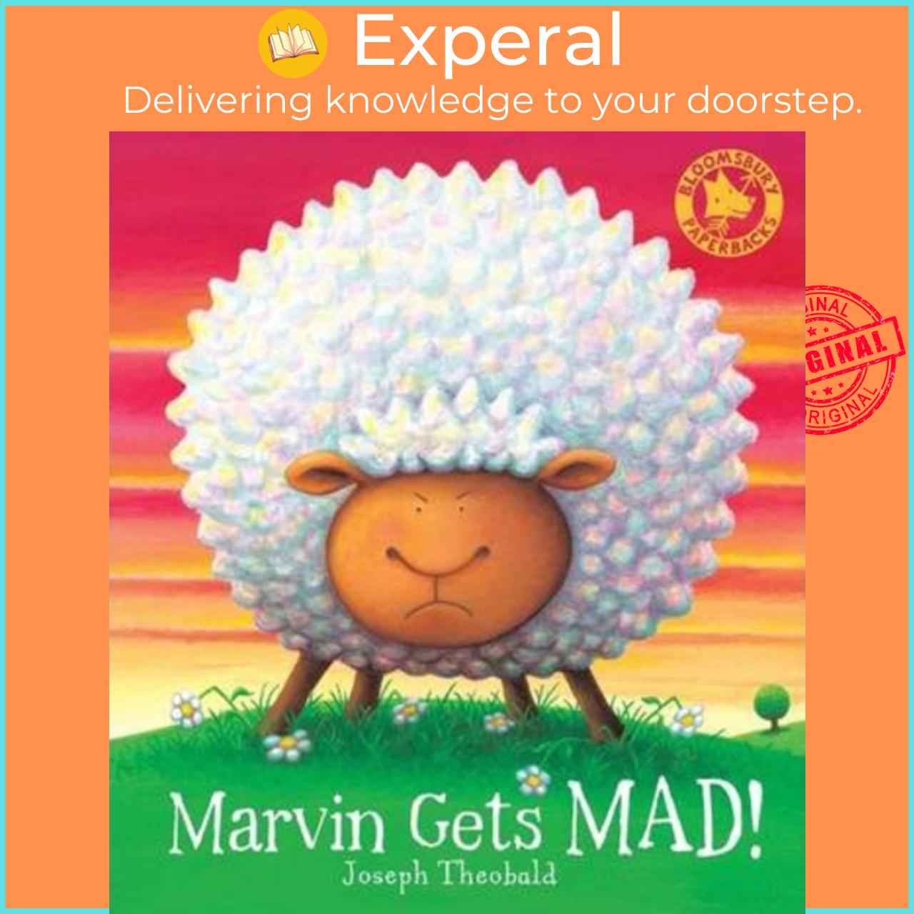 Sách - Marvin Gets MAD! by Joseph Theobald