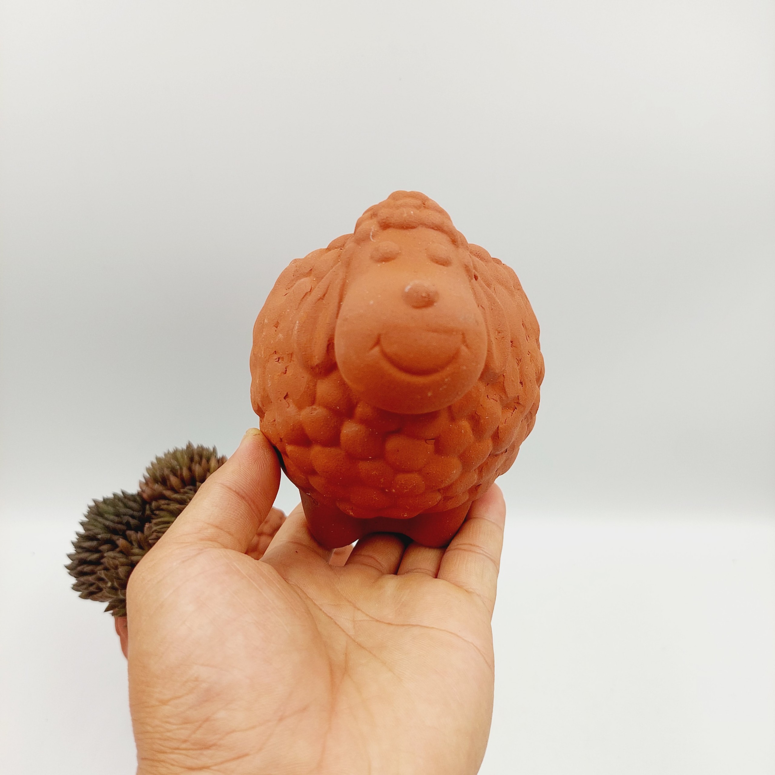 Chậu đất nung, chậu sen đá - Cừu nhi đồng, miệng chậu 7cm, chiều cao 12cm