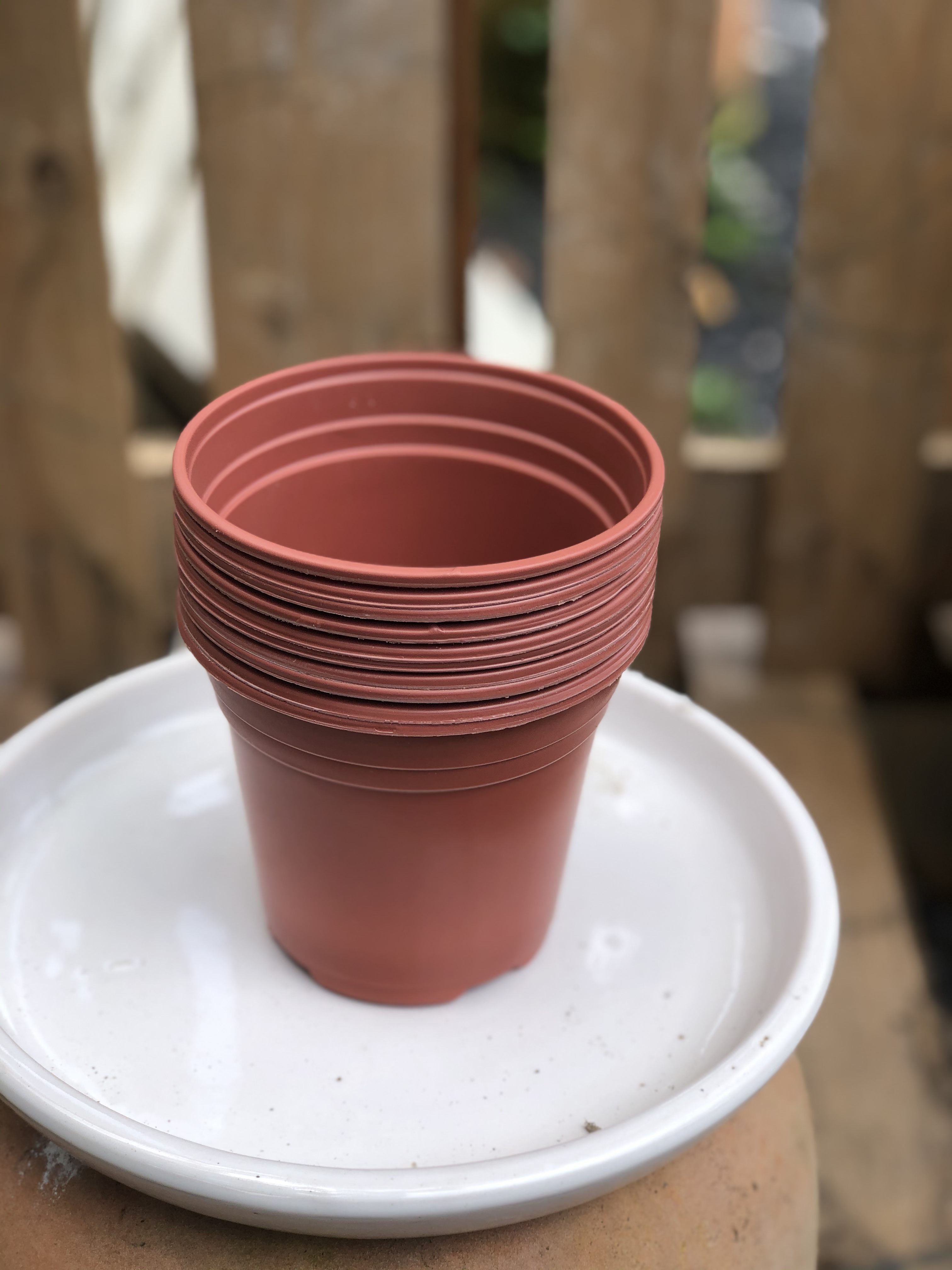 Bộ 10 chậu trồng cây kích thước fi 120 x 106 mm