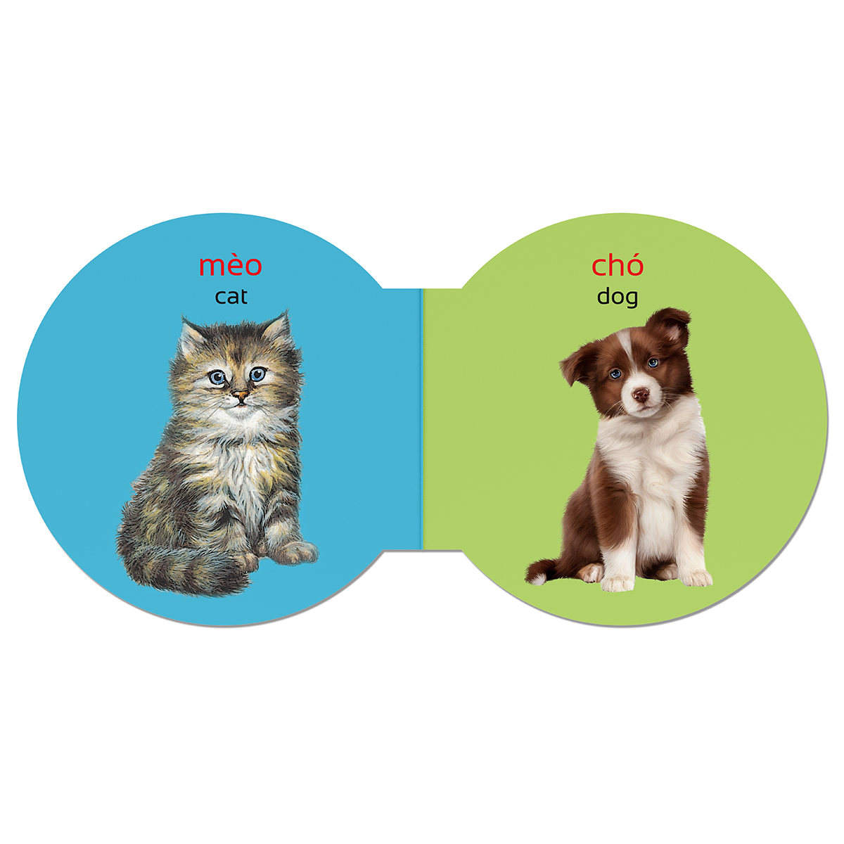 Picture Dictionary - Từ điển bằng hình - Động vật nuôi - Domestic Animals