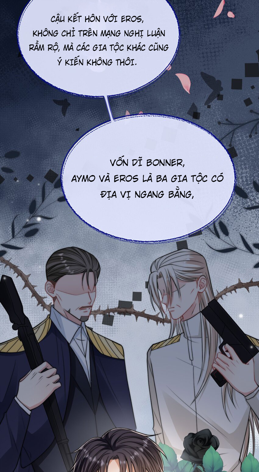 chiến lược tẩy trắng của phản diện chapter 6 25