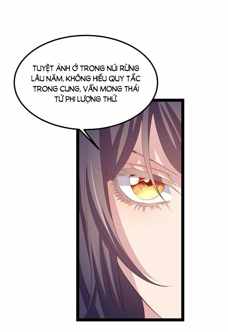 khuynh thế đế vương cơ chapter 23.1 29