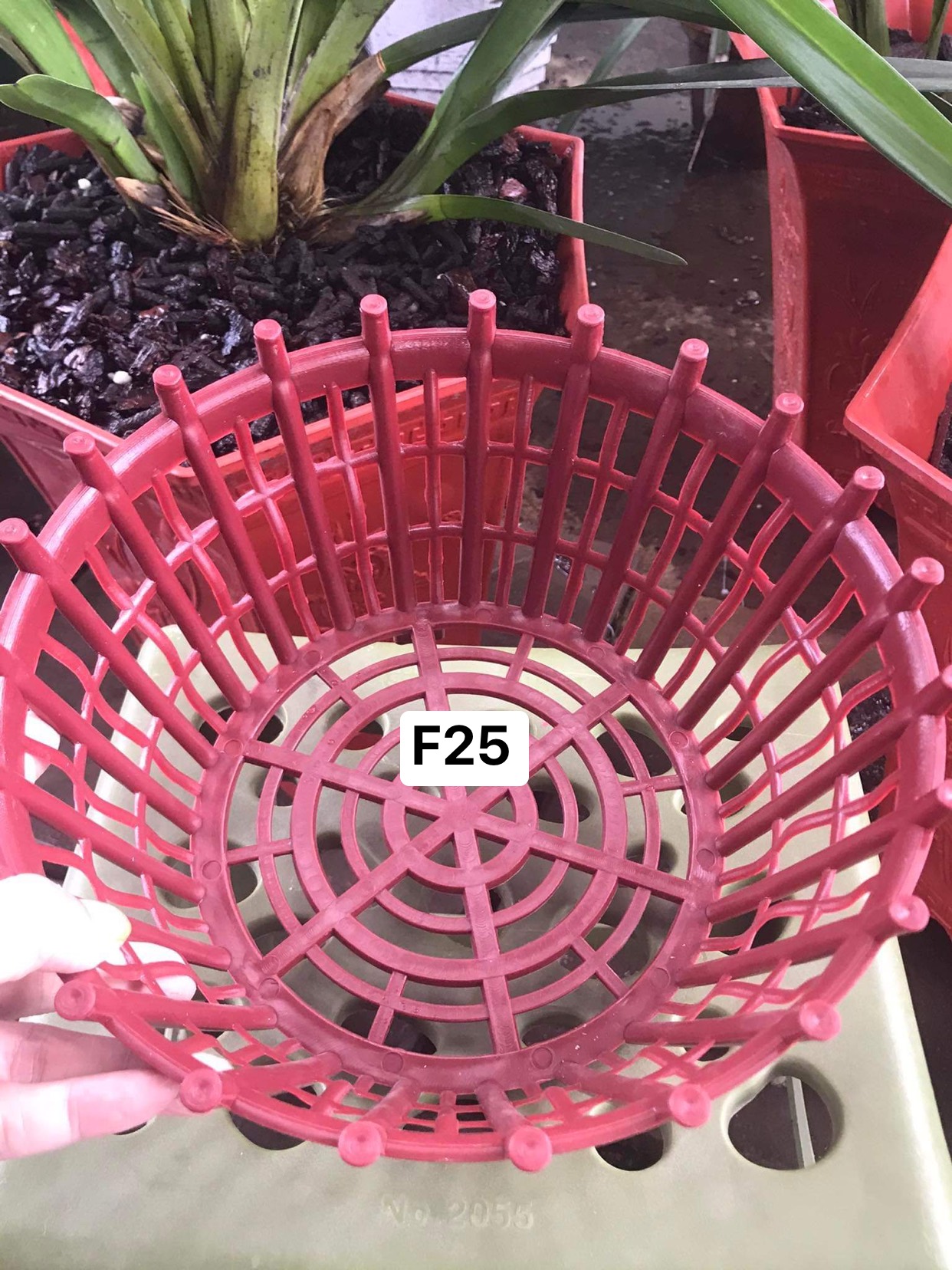 Set 10 chậu nhựa HD có nan phụ f25