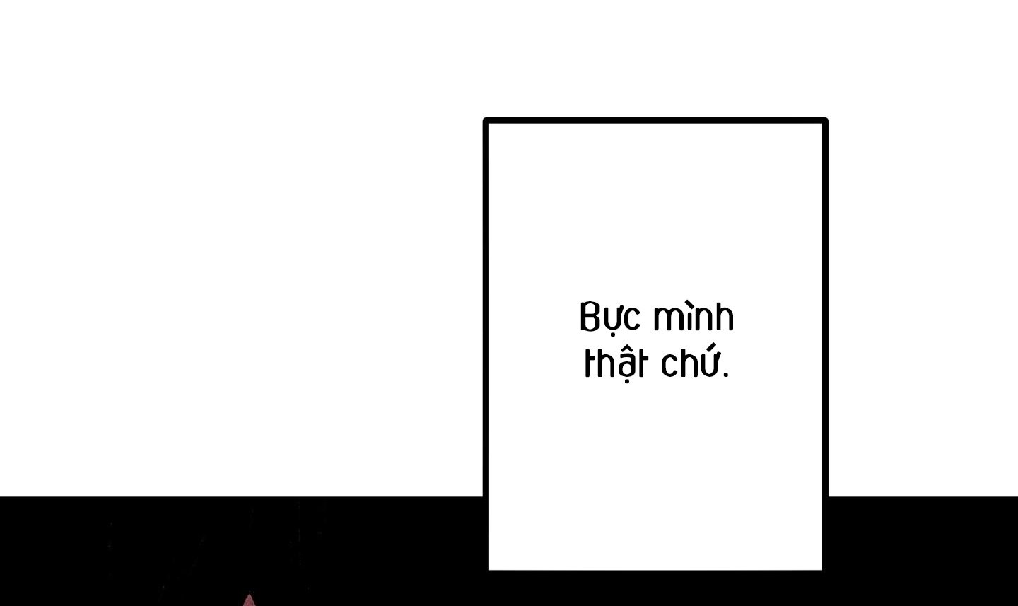 quan hệ chết chóc chapter 29 113