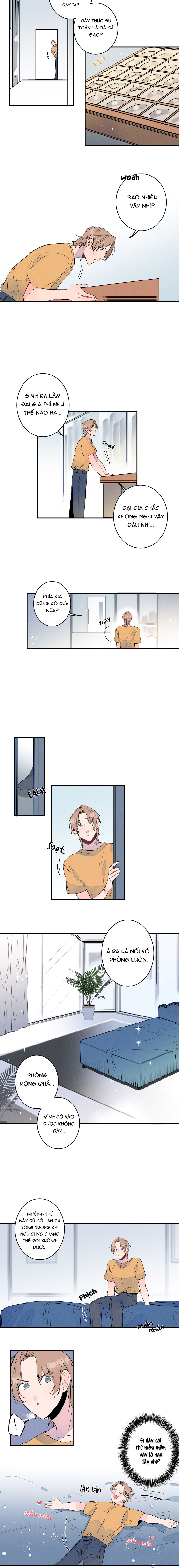 cưới anh hả?! được luôn! chapter 3 6