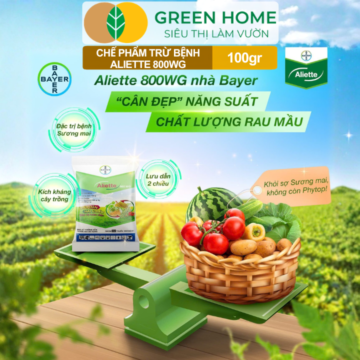 Chế Phẩm Trừ Bệnh Aliette 800WG GreenHome, Gói 100gr, Đặc Trị Thối Rễ, Lở Cổ Rễ, Xì Mủ Cho Cây Trồng