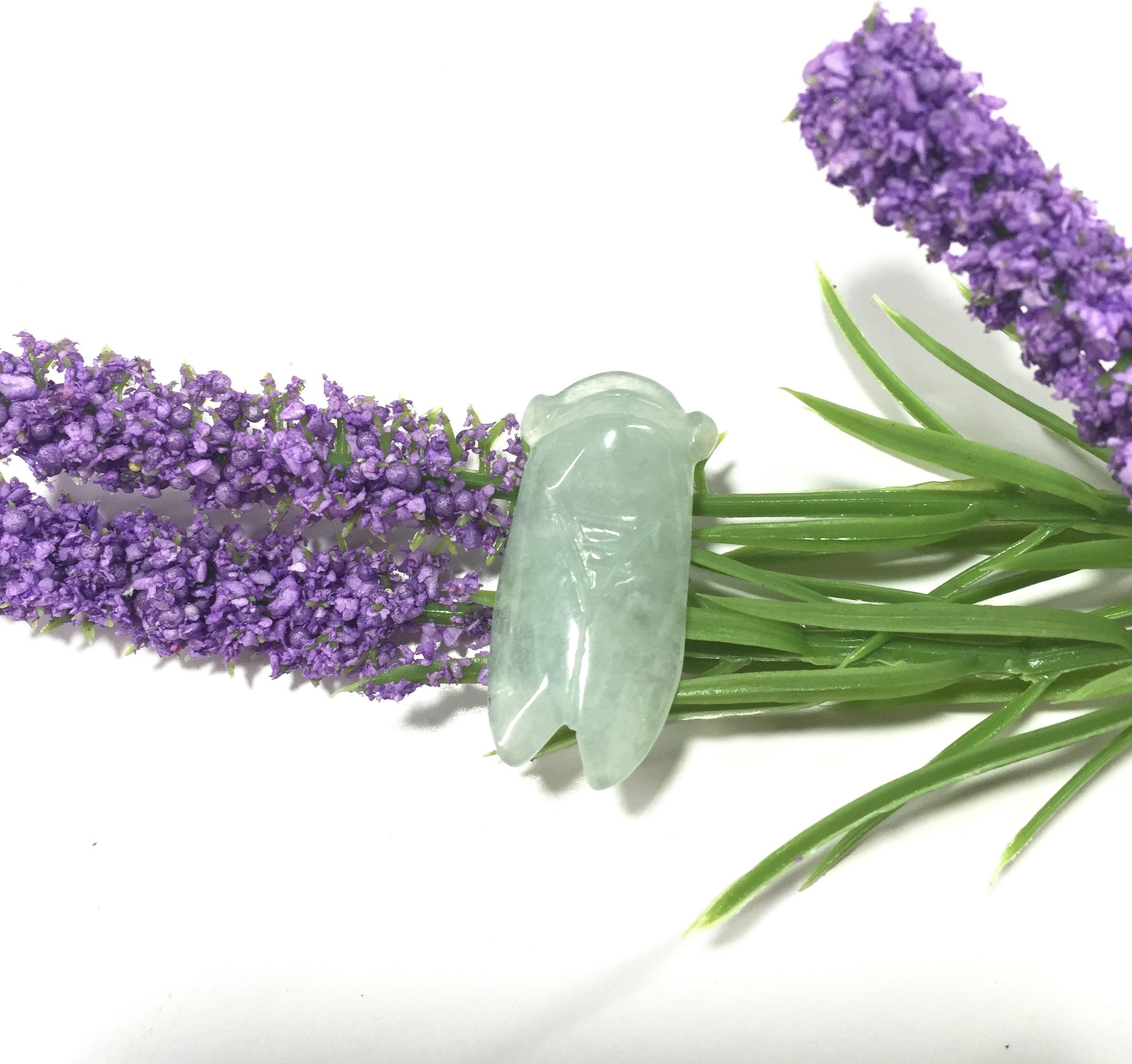 Mặt Dây Chuyền Ve Sầu Phong Thủy Ngọc Jade Thiên Nhiên - Có Móc Bạc và Dây Đeo Cổ