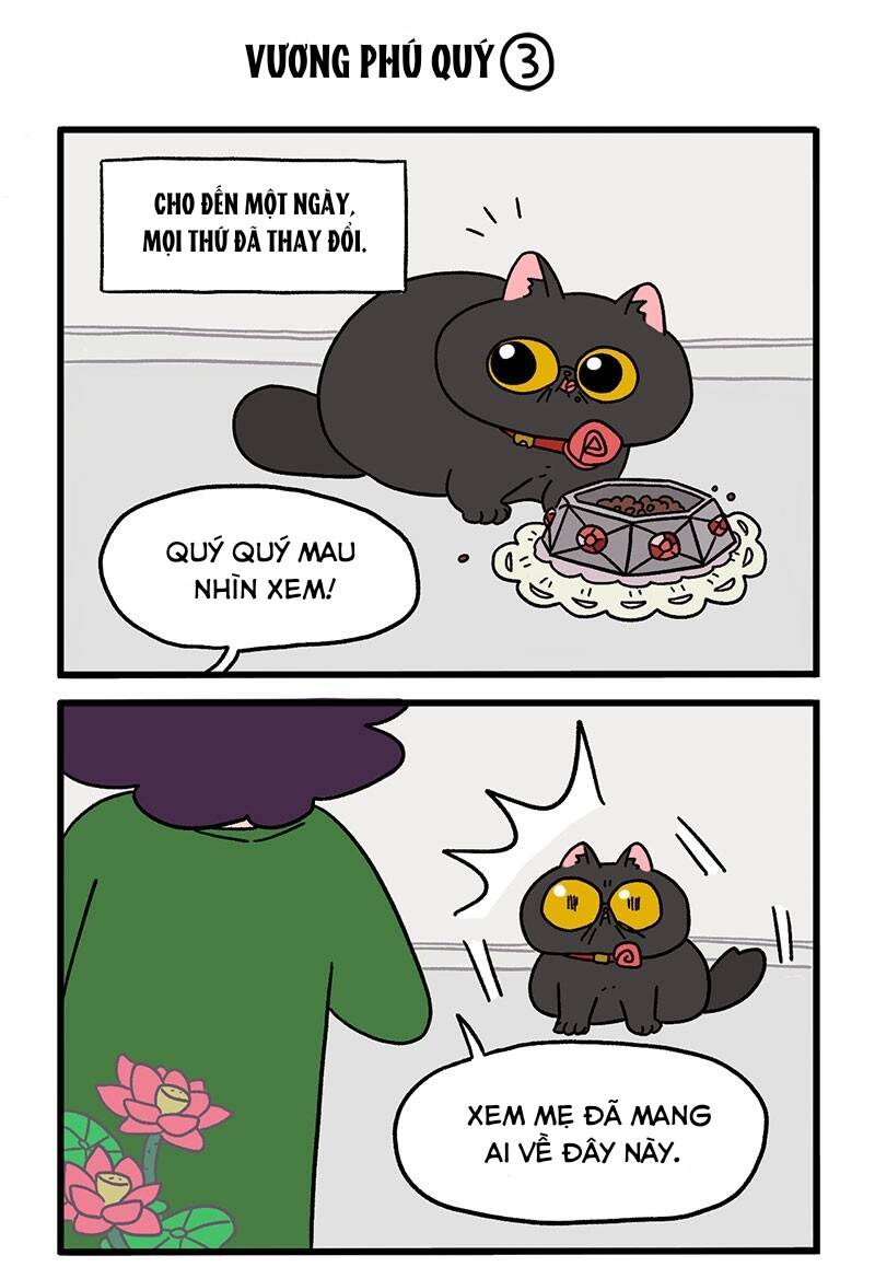 a mãn và mạch trà chapter 15 5