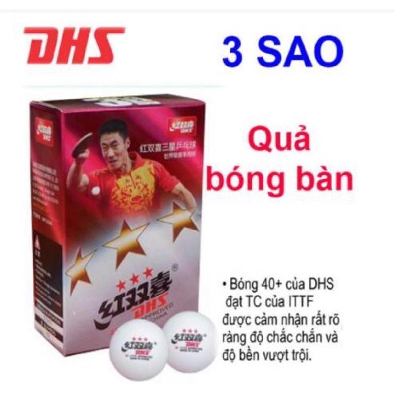 Combo vợt bóng bàn 729-2060 kèm hộp bóng bàn DHS 3 sao