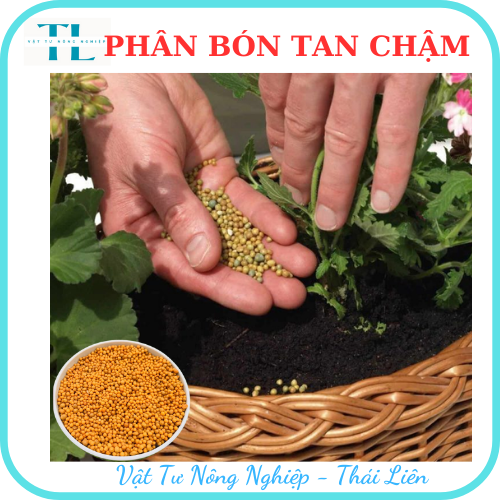 Phân tan chậm thái lan phân vàng Osmocote 14-14-14 túi 100g tiện lợi trồng xương rồng sen đá